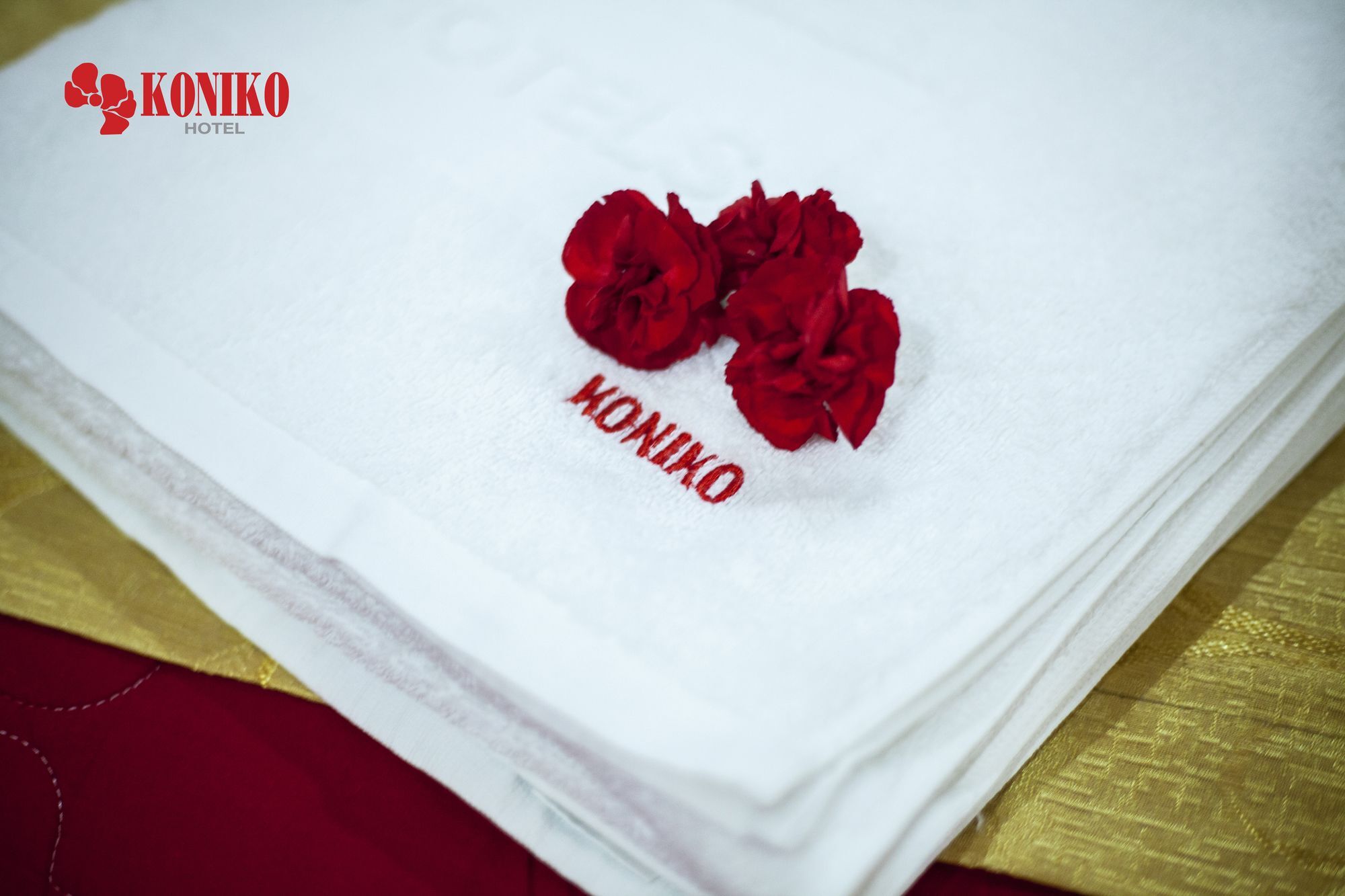 Koniko Hotel Hô Chi Minh-Ville Extérieur photo